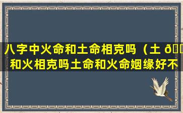 八字中火命和土命相克吗（土 🐼 和火相克吗土命和火命姻缘好不好）